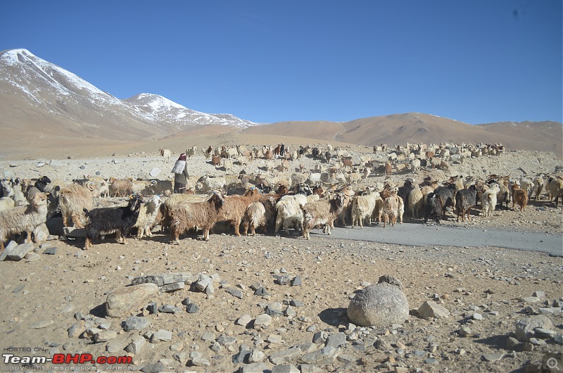 Enchanting Ladakh in April | A Photologue-10_8.jpg