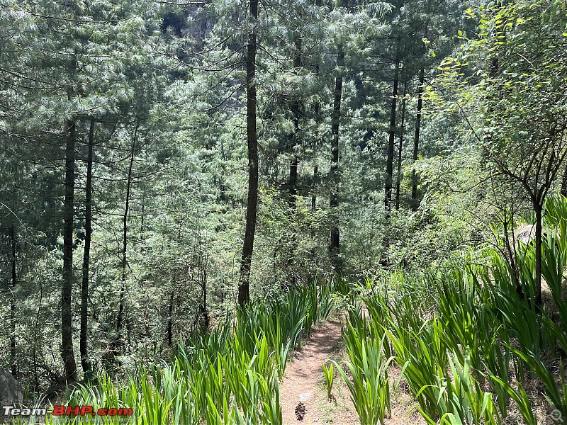 Mumbai - Jibhi - Jalori - Manali - Rohtang - Sissu | A 4500 km road-trip in an Isuzu V-Cross-trekking-2.jpeg