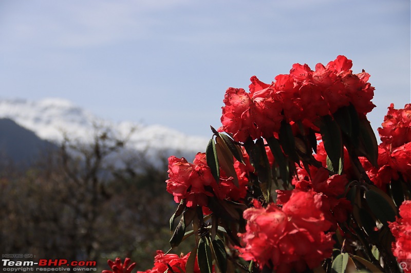 Gurudongmar and the British Bungalow | Enchanting North Sikkim in an EcoSport-a8e39614336142e69597f68182c4e0e8.jpeg