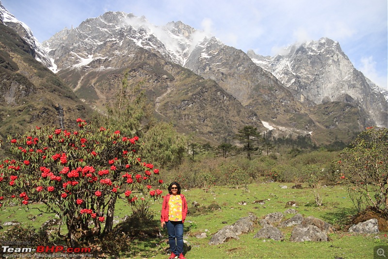 Gurudongmar and the British Bungalow | Enchanting North Sikkim in an EcoSport-7a24a21a23ea4f4181b1f497d21d4d43.jpeg