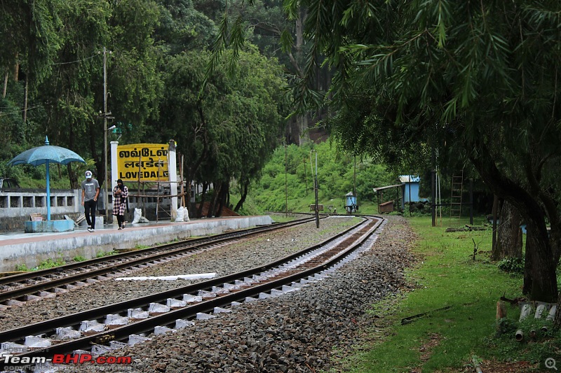 My Travel Diary: Exploring Udhagamandalam, Queen of Hill Stations and Western Ghats-img_4423.jpg