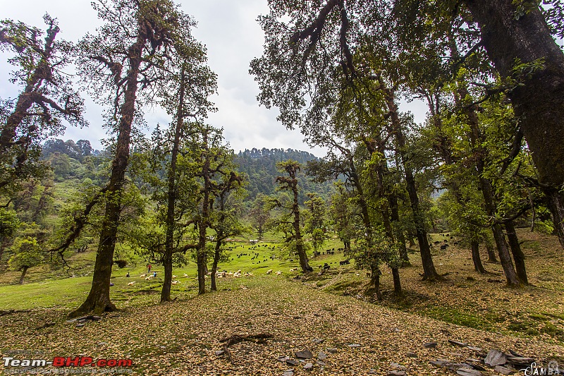 Sailed through Uttarakhand in a Nexon & a Duster AWD-img_0832.jpg