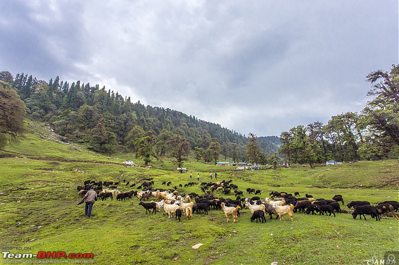 Sailed through Uttarakhand in a Nexon & a Duster AWD-img_0836.jpg