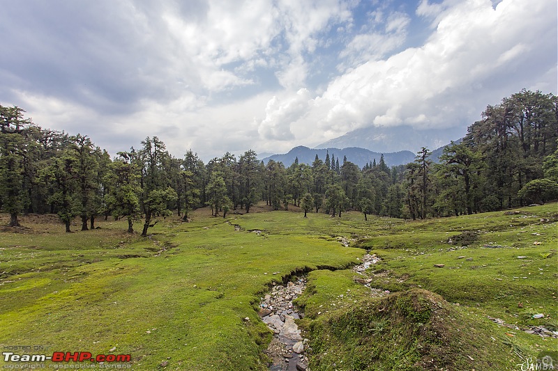 Sailed through Uttarakhand in a Nexon & a Duster AWD-img_0842.jpg