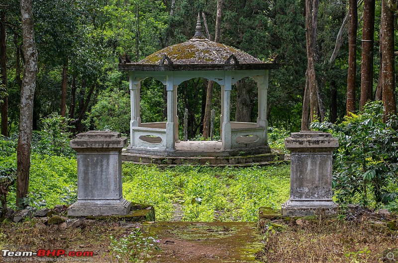 To Valparai, in search of Lion-tailed Macaques!-dsc_2131.jpg