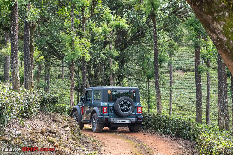 To Valparai, in search of Lion-tailed Macaques!-dsc_2189.jpg