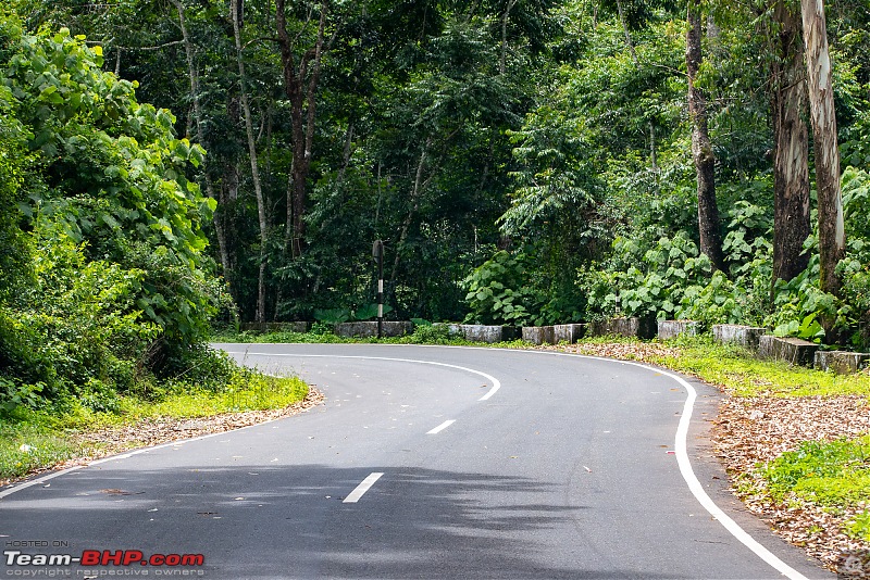 To Valparai, in search of Lion-tailed Macaques!-dsc_2491.jpg