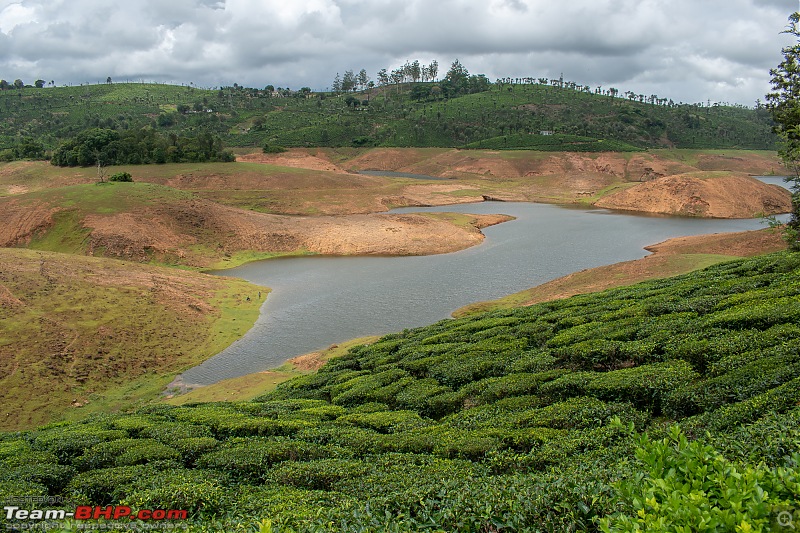 To Valparai, in search of Lion-tailed Macaques!-dsc_2533.jpg