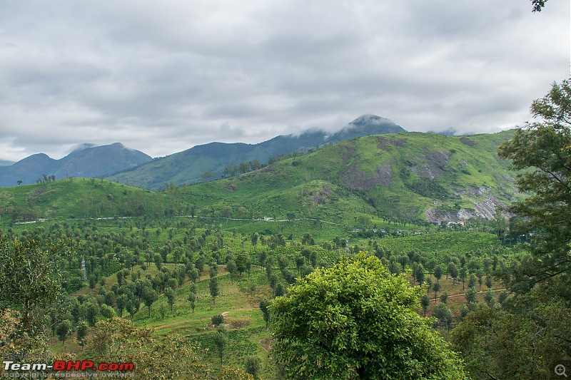 To Valparai, in search of Lion-tailed Macaques!-dsc_2079.jpg