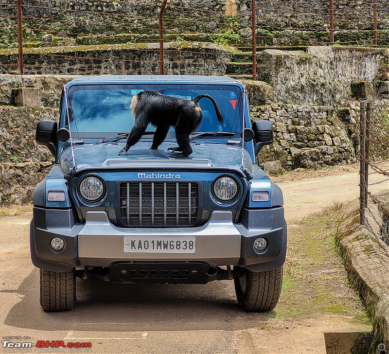 To Valparai, in search of Lion-tailed Macaques!-20220612_113448.jpg