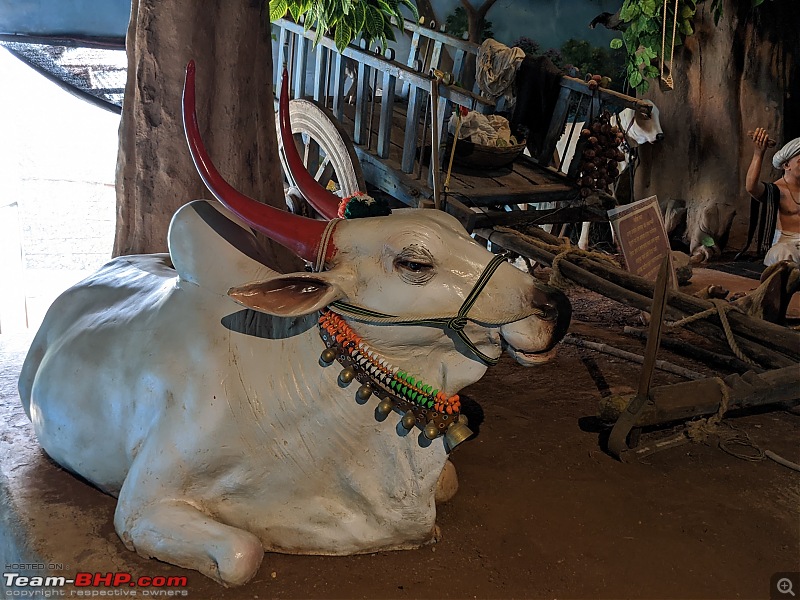 Visit to Sant Darshan Museum, Hadshi-bull.jpg