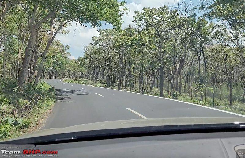 Trip to Gudalur - Mudumalai - Bandhipur - Ooty in my BMW 630d | Narrow & bad road experiences-masinagudi.png