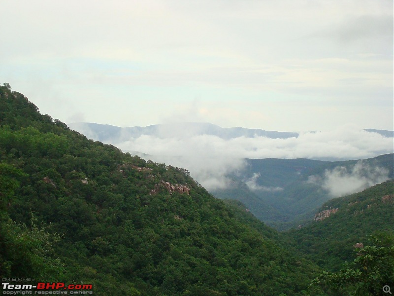 Tirupathi & Tirumala 2 days trip-thk-forest-clds.jpg