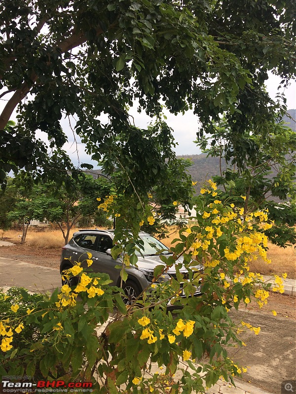 Chasing the summer showers around Theni and Thekkady-img_1485.jpg