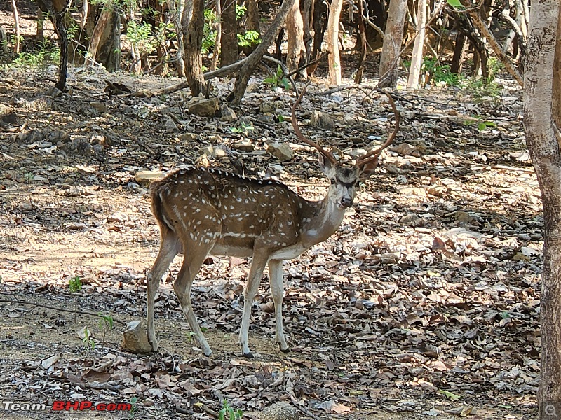 Hyderabad - Weekend Drive  Medak & Pocharam-18.jpg