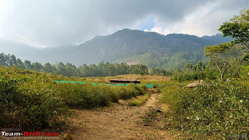 Munnar calling - A summer escapade-image00063.jpg