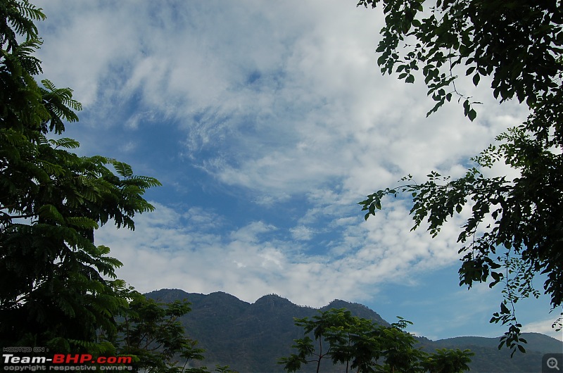 Chasing the summer showers around Theni and Thekkady-dsc_0055.jpg