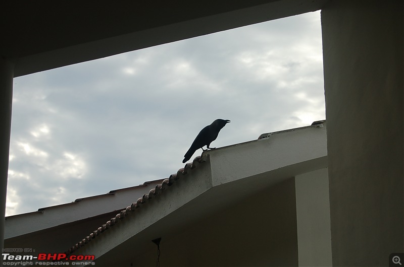 Chasing the summer showers around Theni and Thekkady-dsc_0059.jpg