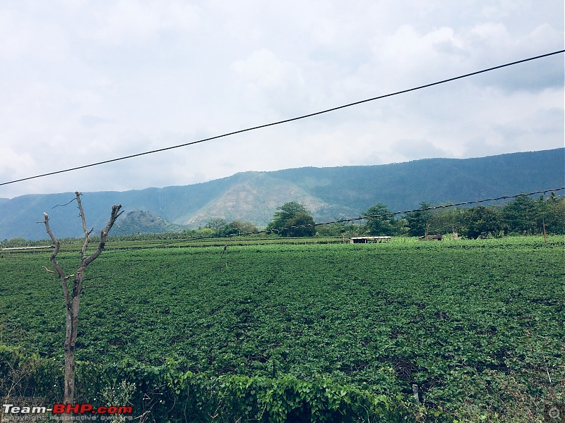 Chasing the summer showers around Theni and Thekkady-img_e1568.jpg