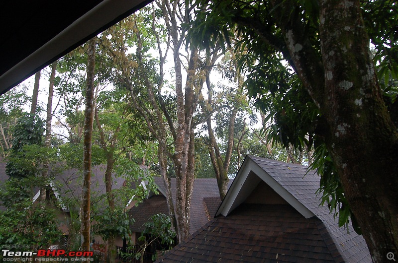 Chasing the summer showers around Theni and Thekkady-dsc_0101.jpg