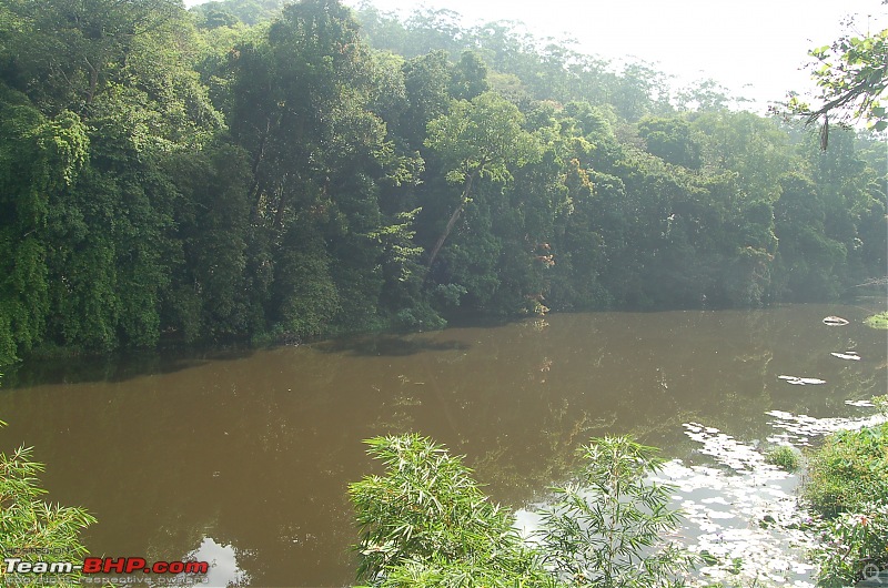 Chasing the summer showers around Theni and Thekkady-dsc_0157.jpg