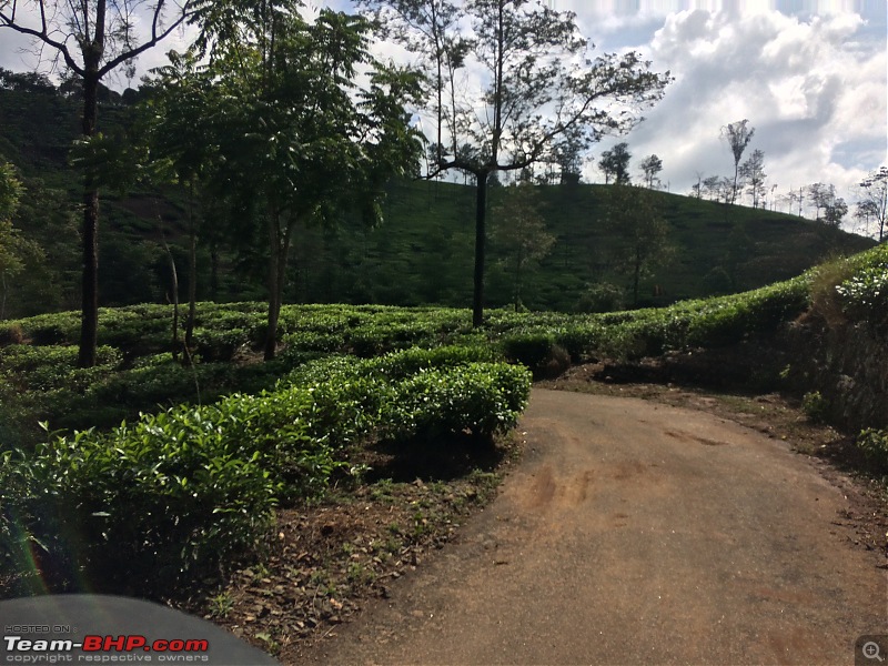 Chasing the summer showers around Theni and Thekkady-img_1678.jpg