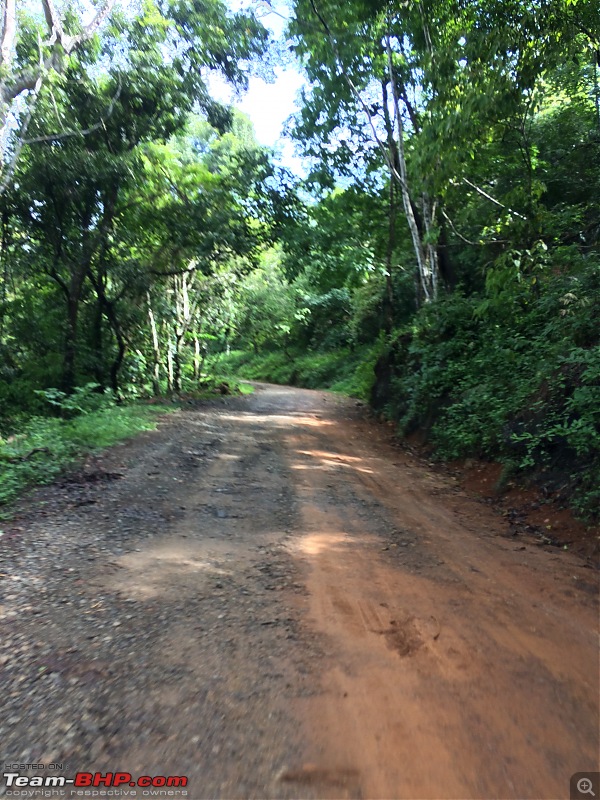 Chasing the summer showers around Theni and Thekkady-img_1801.jpg