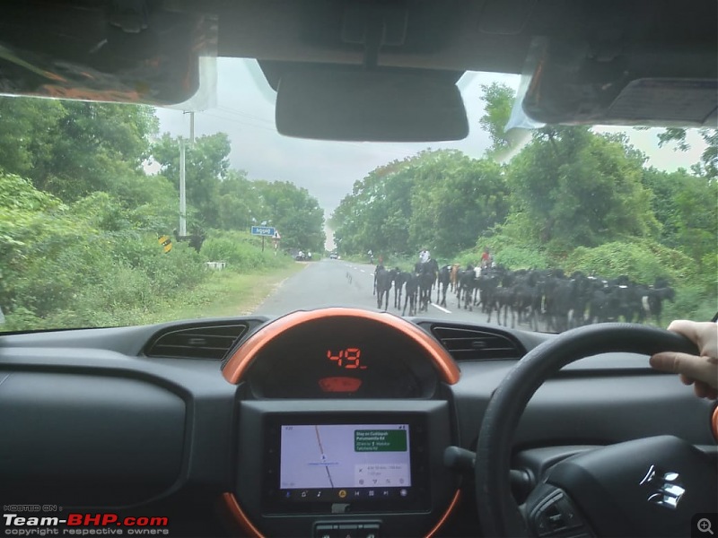 Drive from Pondicherry to Kalahasthi, Tirupati and Srisailam via the roads less travelled-15badvel2.jpg