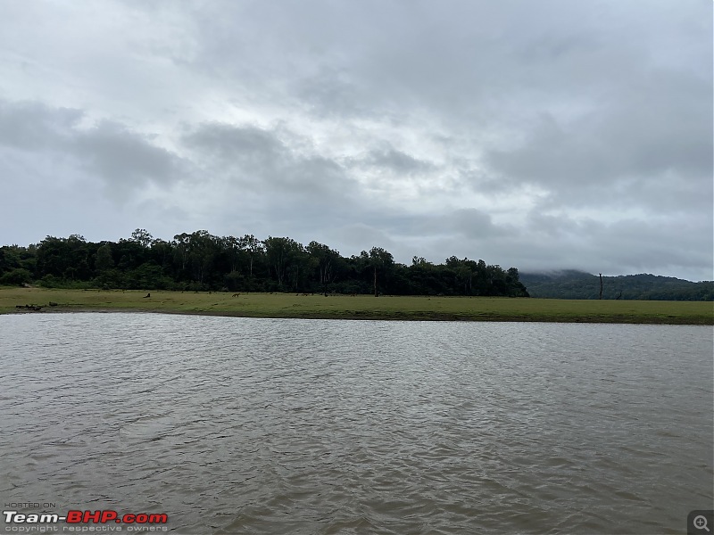 Our road-trip to Kabini, Parambikulam & Mamalakandam-k25.jpg