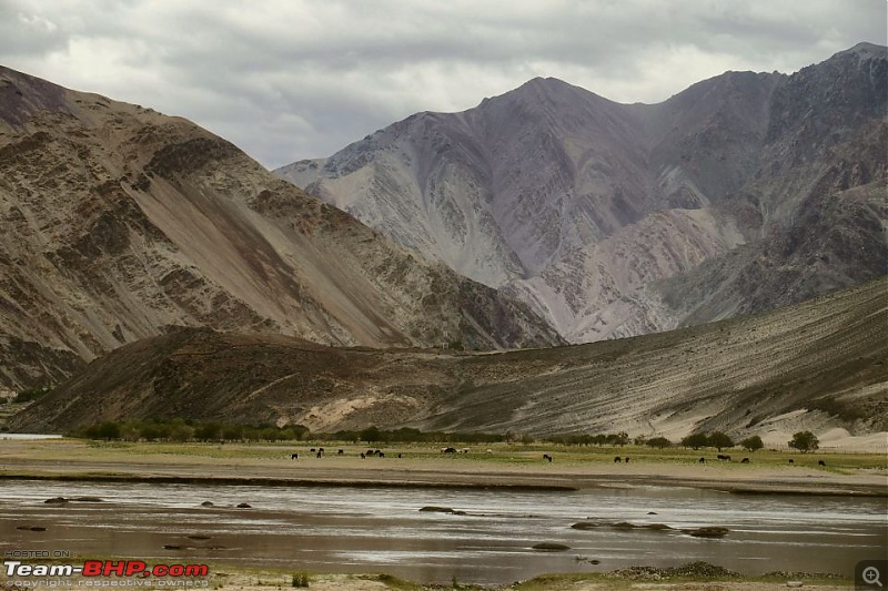 Ladakh in Old Iron - Marshal's Last Stand?-dsc05526.jpg