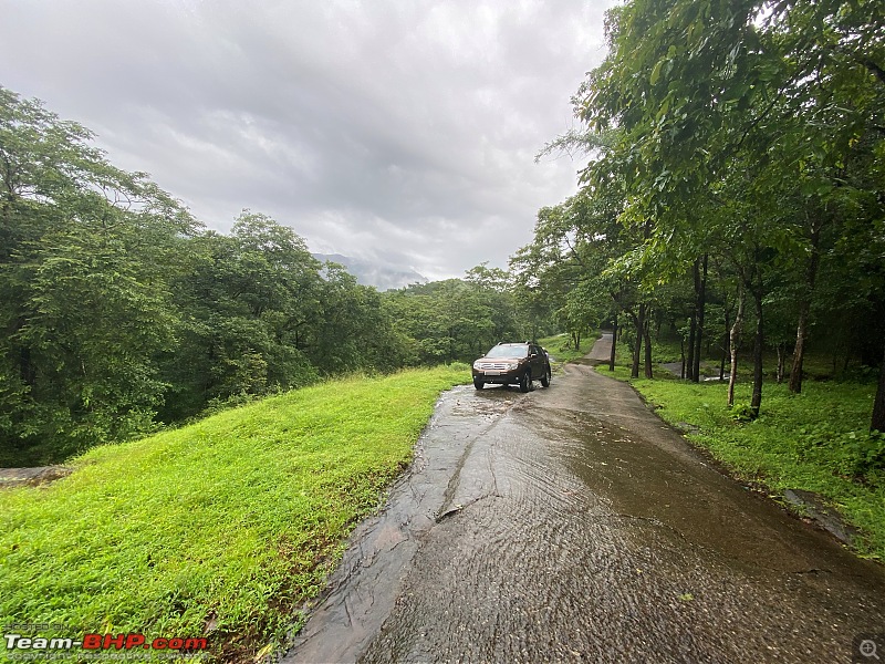 Our road-trip to Kabini, Parambikulam & Mamalakandam-m3.jpg