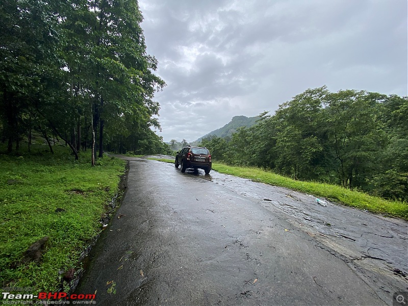 Our road-trip to Kabini, Parambikulam & Mamalakandam-m4.jpg