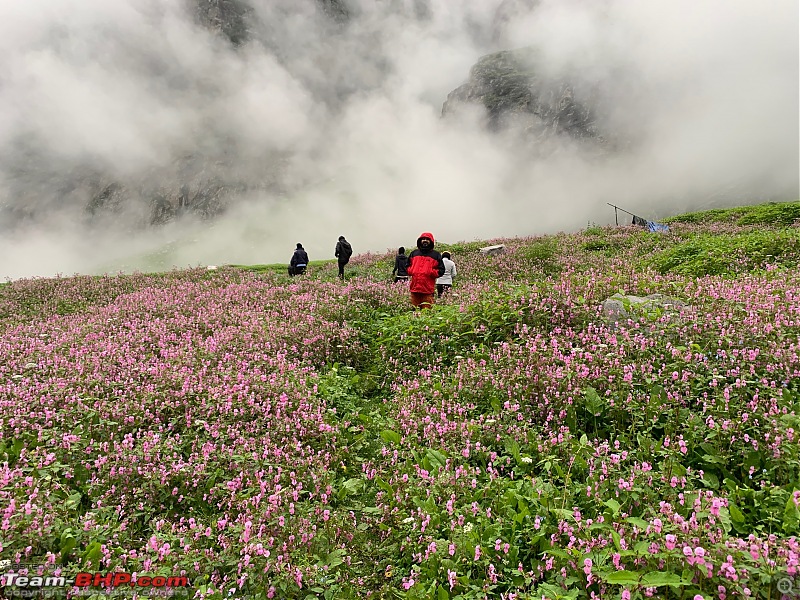 A trek to Hampta Pass and Solo Bike ride to Tirthan Valley, Himachal Pradesh-photo-52.jpg