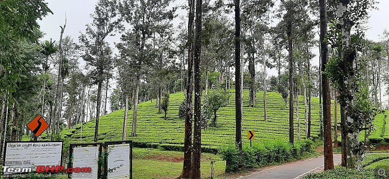 Travel Therapy - Road Trip to Wayanad from Bangalore-20220830_105234.jpg