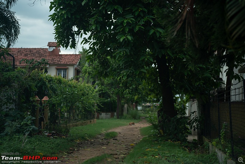 Drive to Scenic Massanjore & Serene Shantiniketan. EDIT: 2022 visit updates-dsc01845.jpg