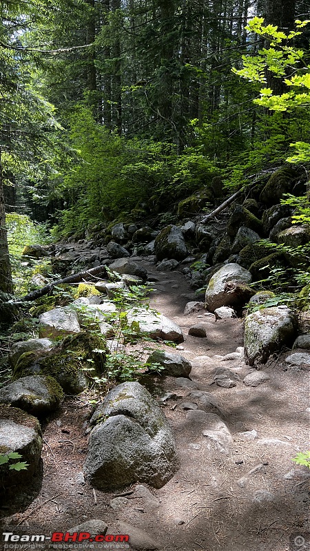 Hiking in Washington - A healthy & beautiful way to enjoy nature!-img_4160.jpg