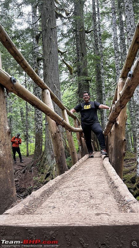 Hiking in Washington - A healthy & beautiful way to enjoy nature!-img_4118.jpg