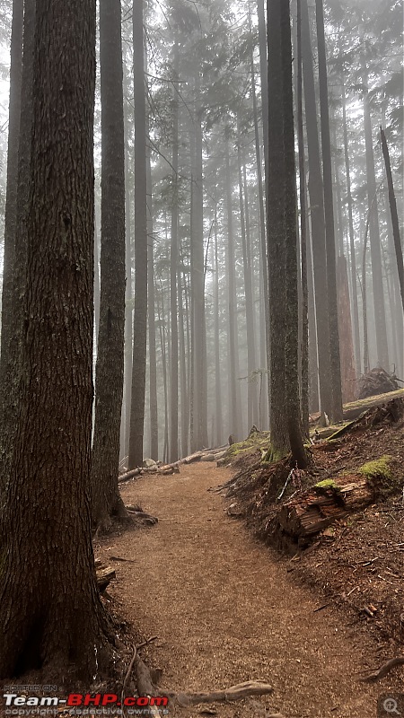 Hiking in Washington - A healthy & beautiful way to enjoy nature!-img_4089.jpg