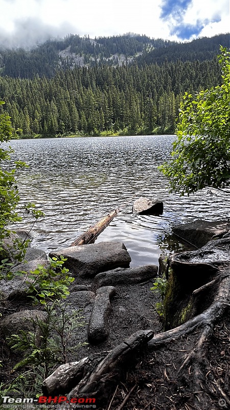 Hiking in Washington - A healthy & beautiful way to enjoy nature!-img_4144.jpg