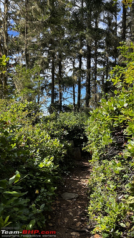 Hiking in Washington - A healthy & beautiful way to enjoy nature!-img_5572.jpg
