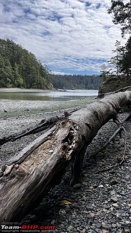 Hiking in Washington - A healthy & beautiful way to enjoy nature!-img_5547.jpg