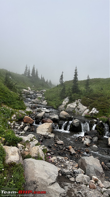 Hiking in Washington - A healthy & beautiful way to enjoy nature!-img_6128.jpg