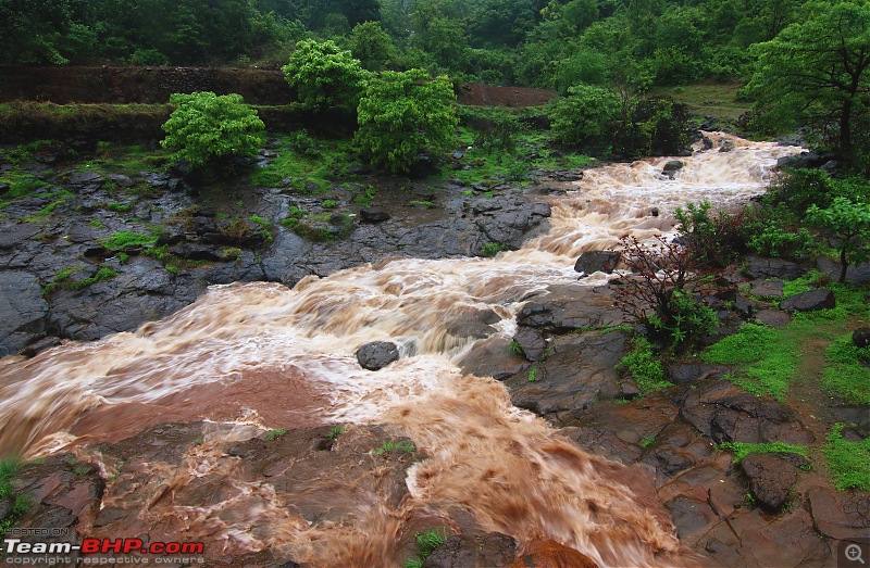 Falling for the (Water) Falls | Monsoon saga in the magical Western Ghats-2.jpg