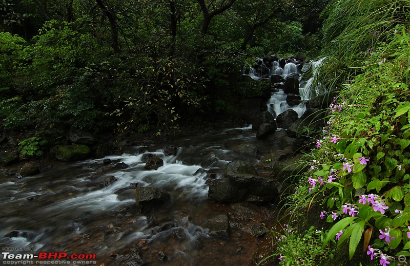 Falling for the (Water) Falls | Monsoon saga in the magical Western Ghats-12a.jpg