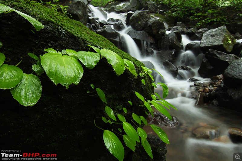 Falling for the (Water) Falls | Monsoon saga in the magical Western Ghats-12c.jpg