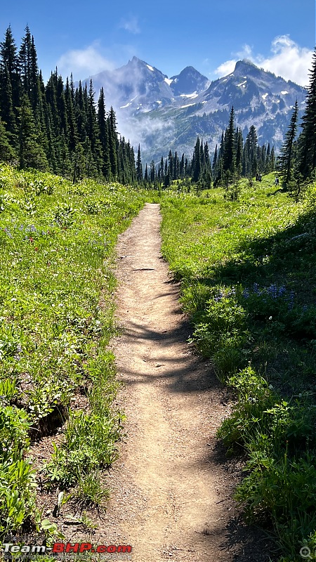 Hiking in Washington - A healthy & beautiful way to enjoy nature!-img_6258.jpg
