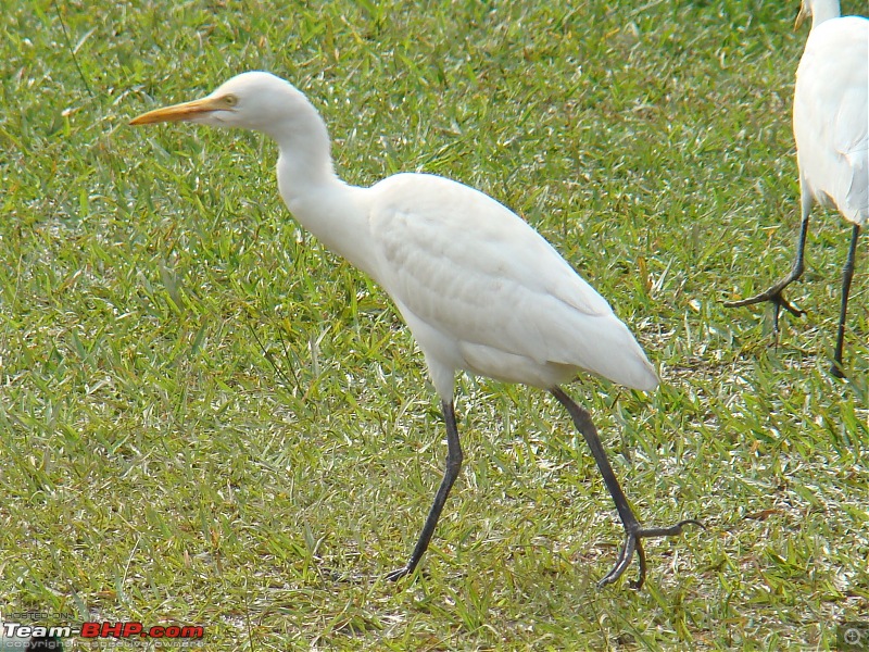 Kolkata - Konarak - Puri - Kolkata-dsc02596.jpg