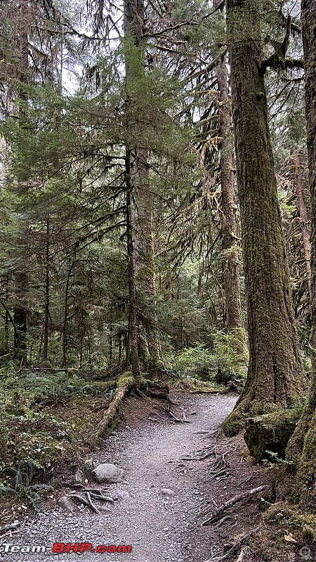 Hiking in Washington - A healthy & beautiful way to enjoy nature!-img_7161.jpg