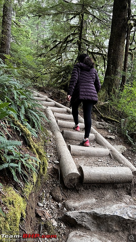 Hiking in Washington - A healthy & beautiful way to enjoy nature!-img_7173.jpg