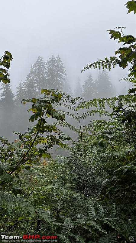 Hiking in Washington - A healthy & beautiful way to enjoy nature!-img_7202.jpg